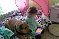 DLO-and-Dogs