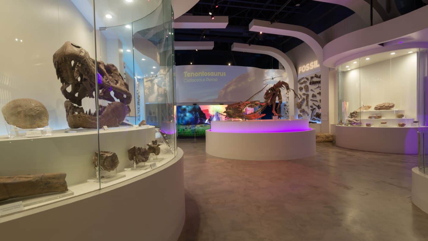 A view of DinoLabs
