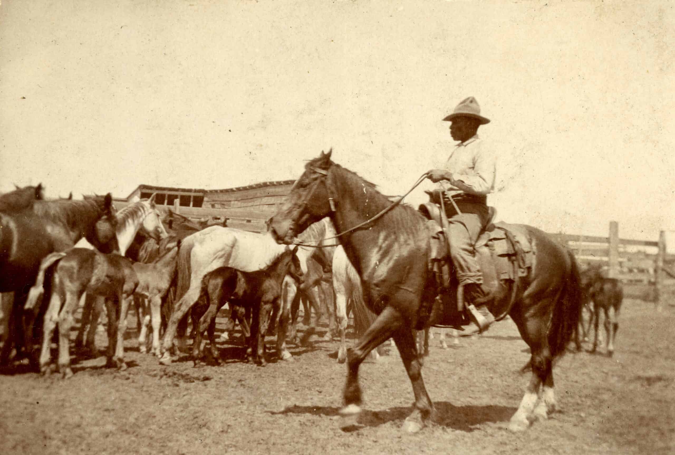 Photo of Black cowboy Hector Bazy on horseback while rounding up horses into pen.