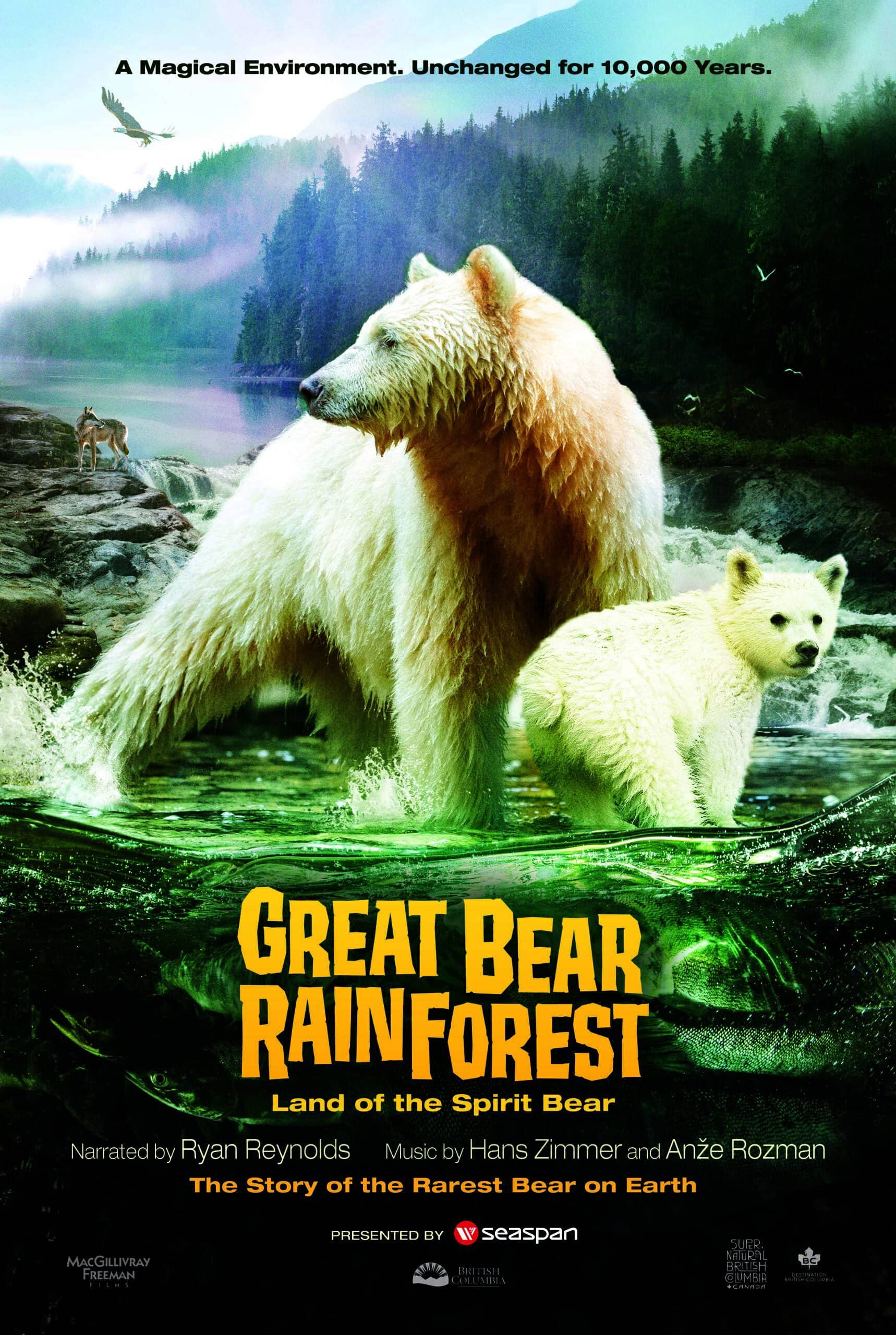 BEAR_MiniPoster_2D BEAR_MiniPoster_2D