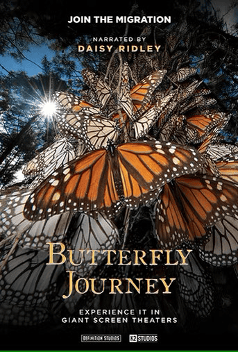 ButterflyJourney_KeyArt2_GiantScreen_3D_WEB-edited ButterflyJourney_KeyArt2_GiantScreen_3D_WEB-edited
