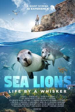 sealions-keyart-withdirk sealions-keyart-withdirk