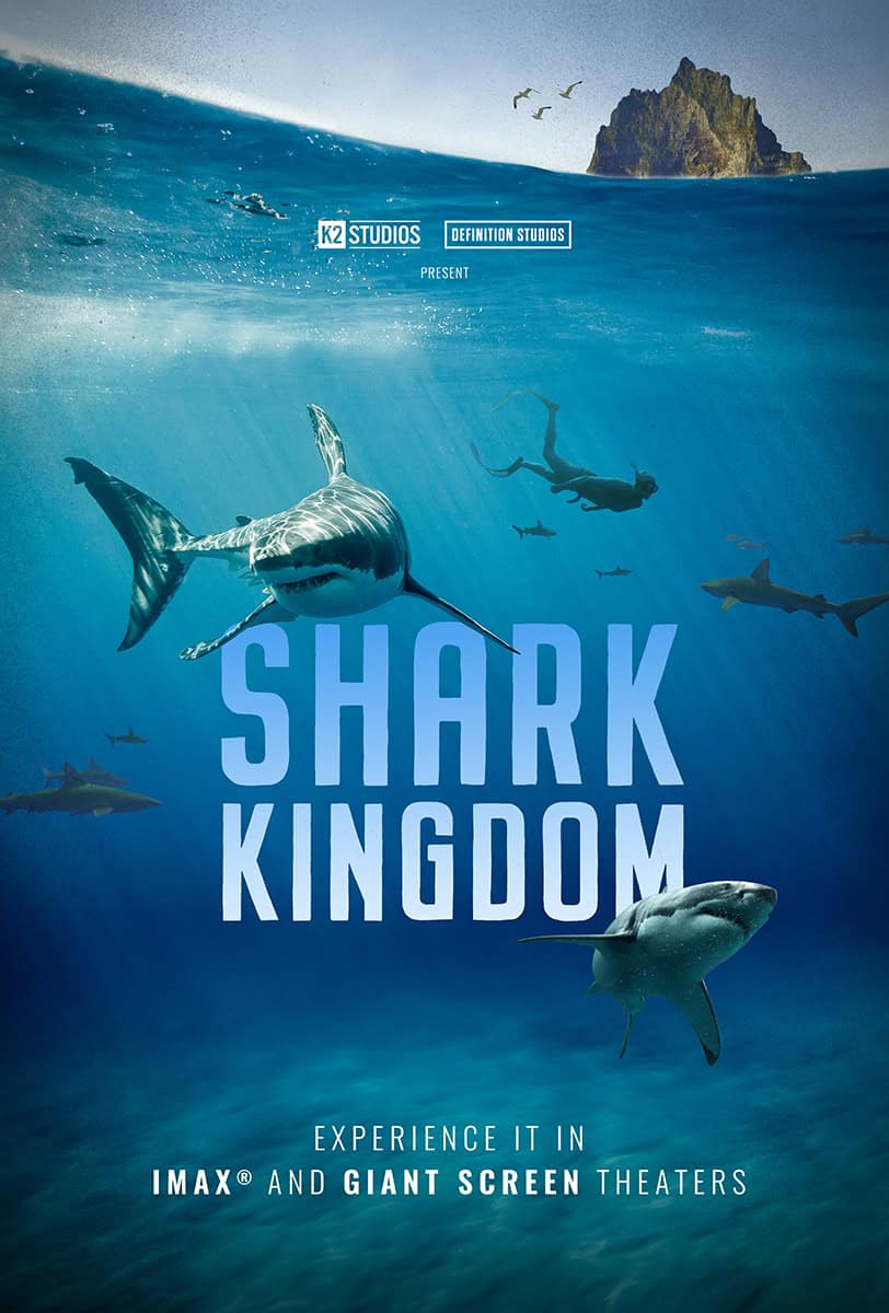 Shark Kingdom - web Shark Kingdom - web