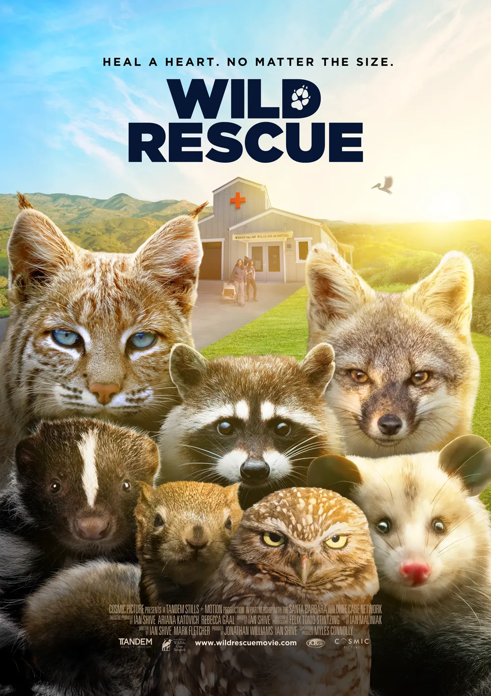 Wild-Rescue-Movie-Poster-1920w Wild-Rescue-Movie-Poster-1920w