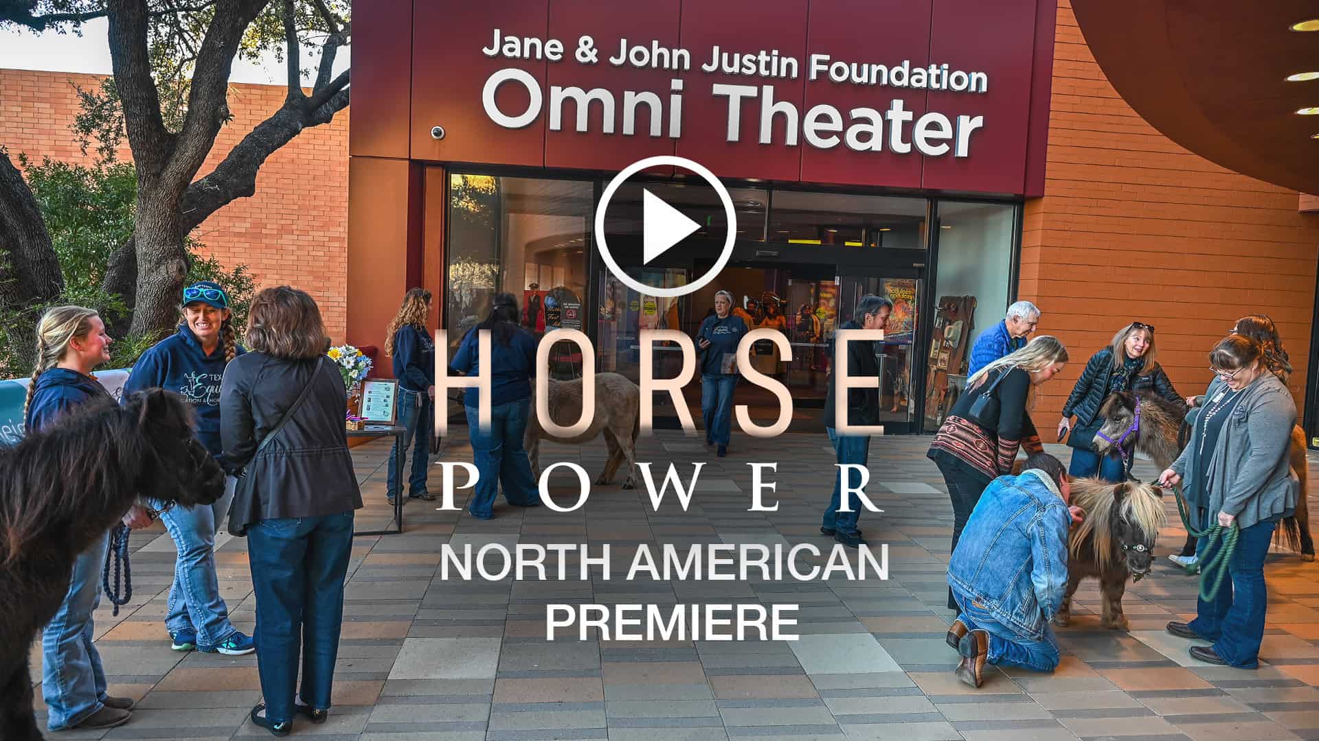 SK Films Recap Video