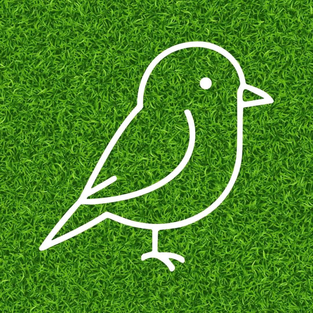 HSFSC_BirdBeaks